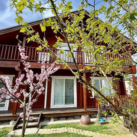 Log House #Ab1 Apartment Seto Exterior photo